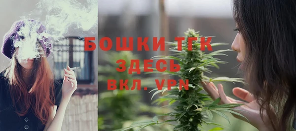 гидра Рославль