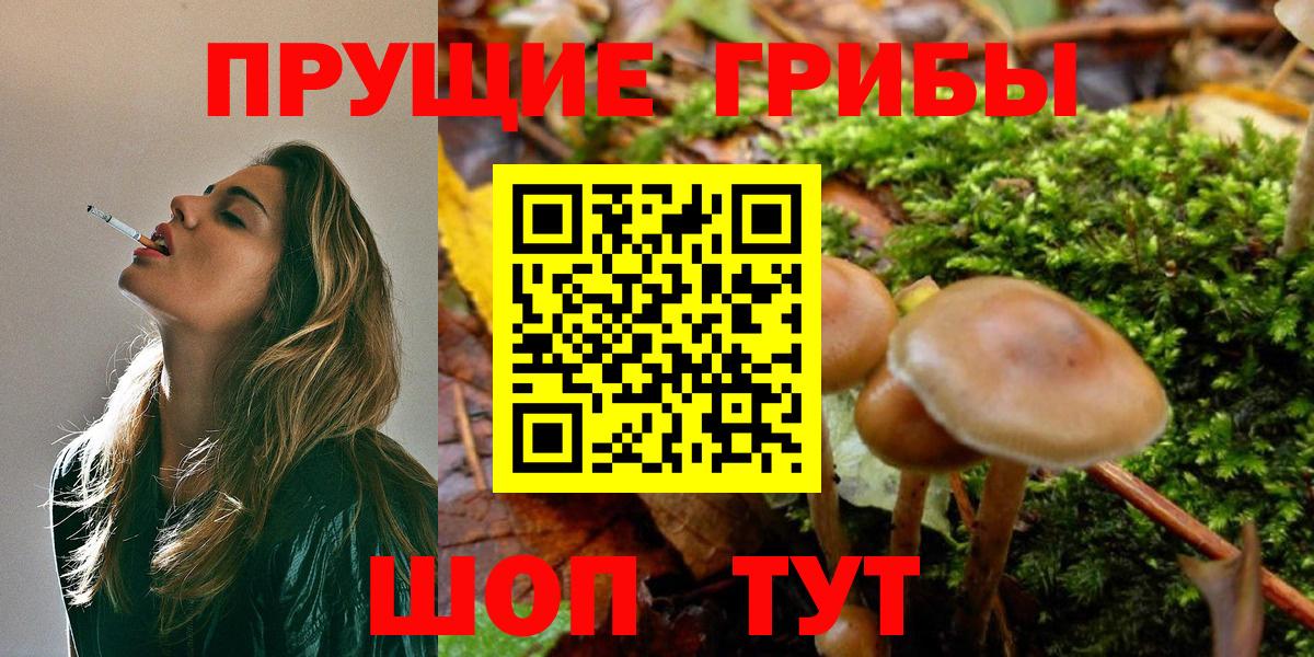 Псилоцибиновые грибы MAGIC MUSHROOMS Богородицк