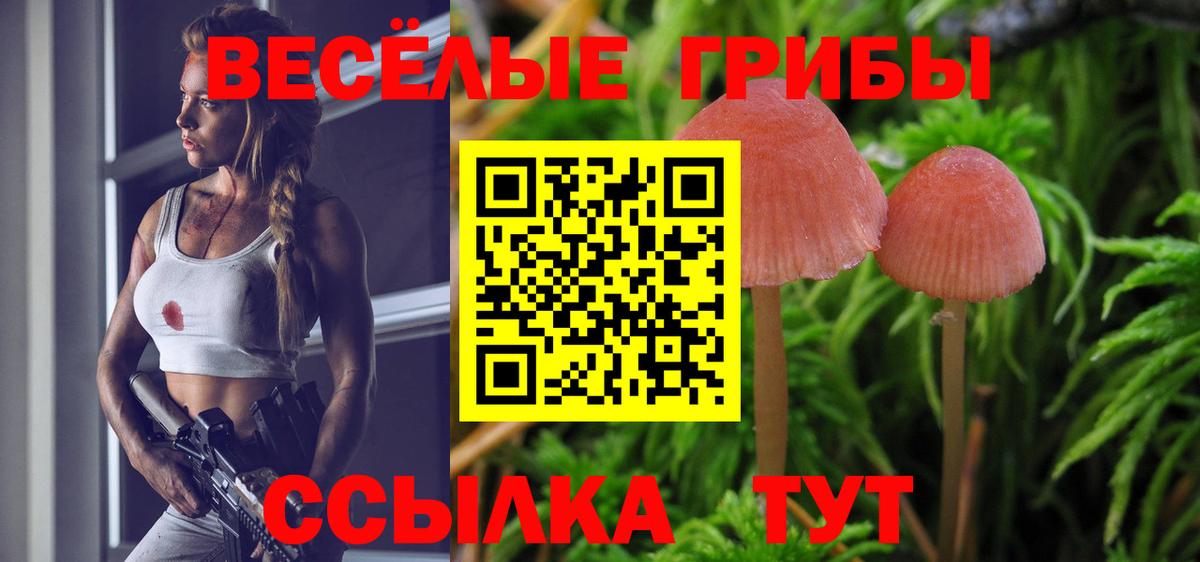 Псилоцибиновые грибы Magic Shrooms  Вход с VPN  Псилоцибиновые грибы прущие грибы  Богородицк 